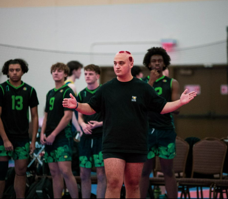 Palmetto Shore coach photo 2
